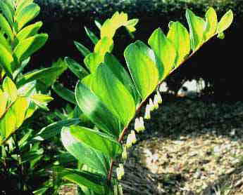 �A�}�h�R��