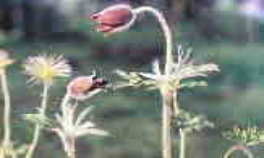 �I�L�i�O�T�@